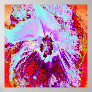Póster Flor de Hibisco Tropical Abstracta Acuática y Púrp