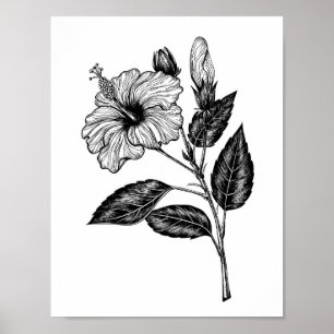 Póster Flor de Hibiscus III