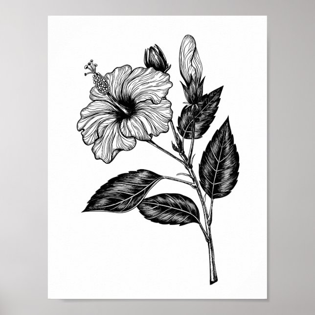 Póster Flor de Hibiscus III (Frente)
