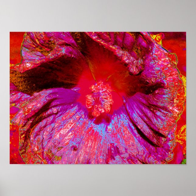 Póster Flor de Hibiscus Rojo Retro Trippy Psicodélico (Frente)