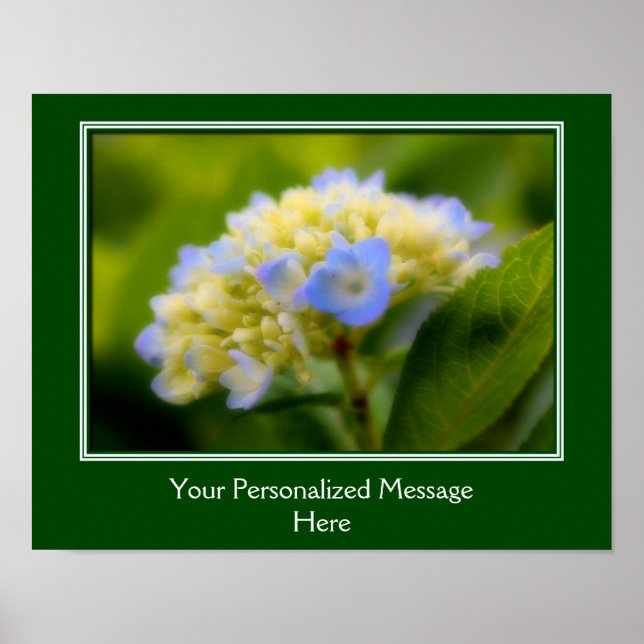 Póster Flor de hidrangea azul suave personalizada (Frente)