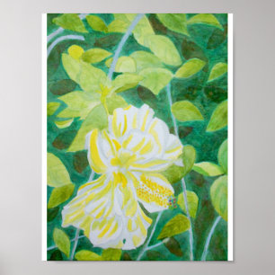 Póster Flor de hipo blanco doble color