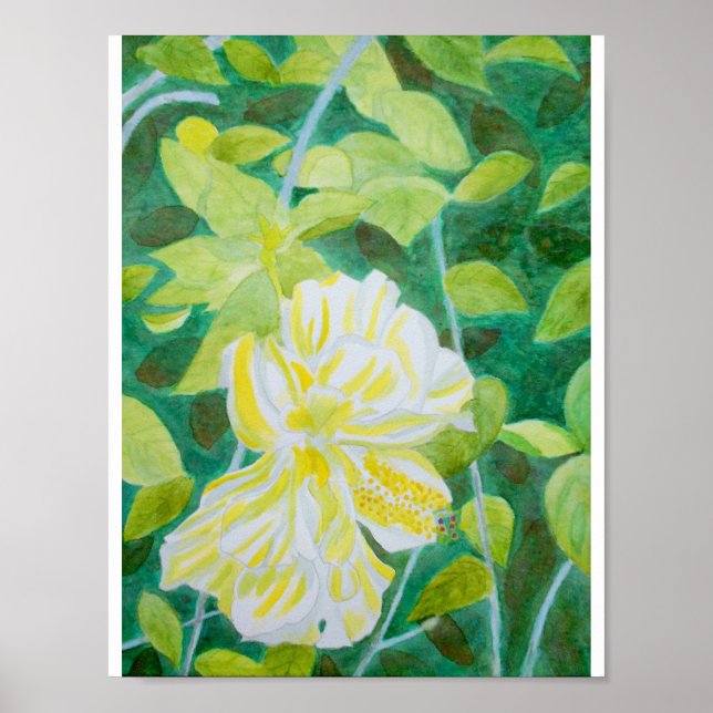 Póster Flor de hipo blanco doble color (Frente)