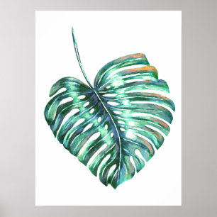 Póster Flor de hoja de Monstera palma tropical acuarela m
