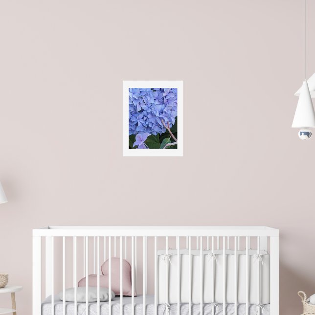 Póster Flor de Hortensia de Cabeza Azul (Guardería 2)