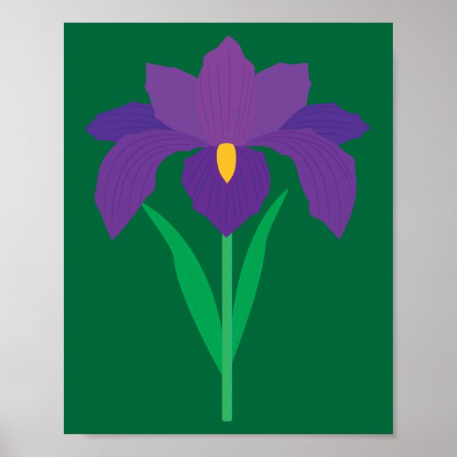 Póster Flor de Iris (Frente)