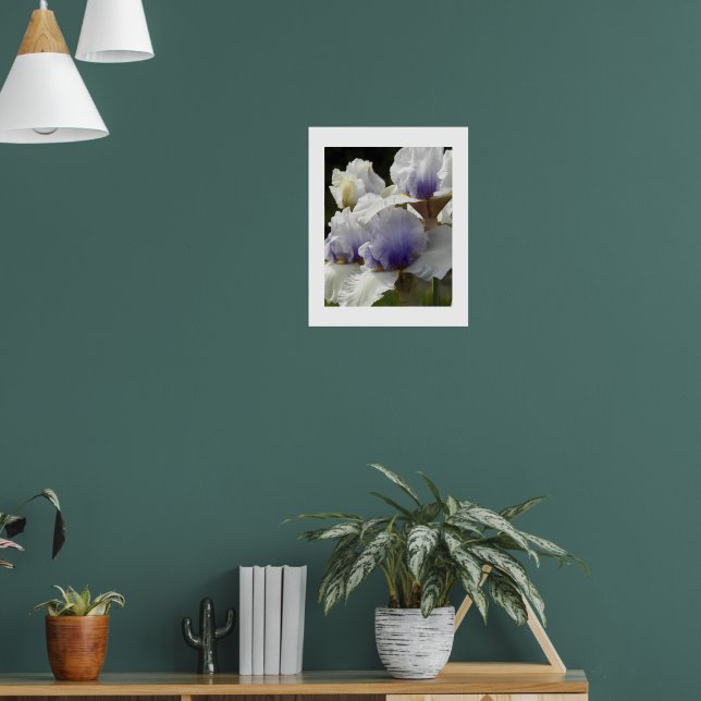 Póster Flor de Iris Blanca y Morada (Salón 1)