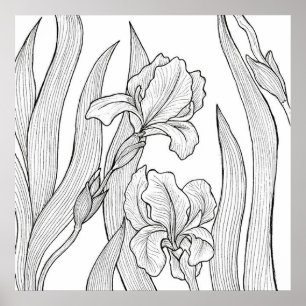 Póster Flor de iris diseñada con tinta negra