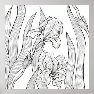 Póster Flor de iris diseñada con tinta negra