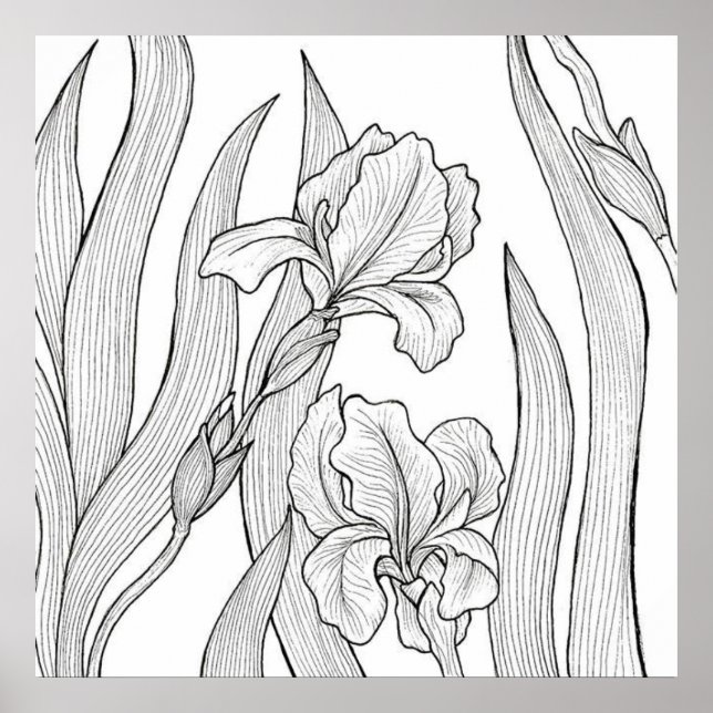 Póster Flor de iris diseñada con tinta negra (Frente)