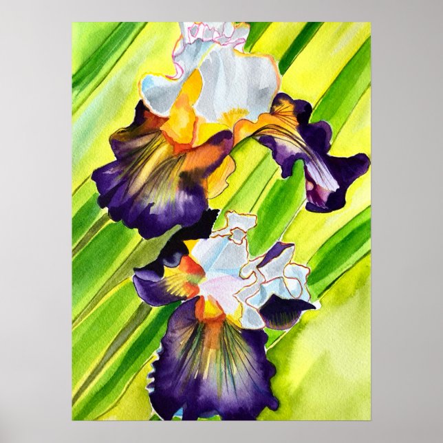 Póster Flor de iris floral acuarela (Frente)
