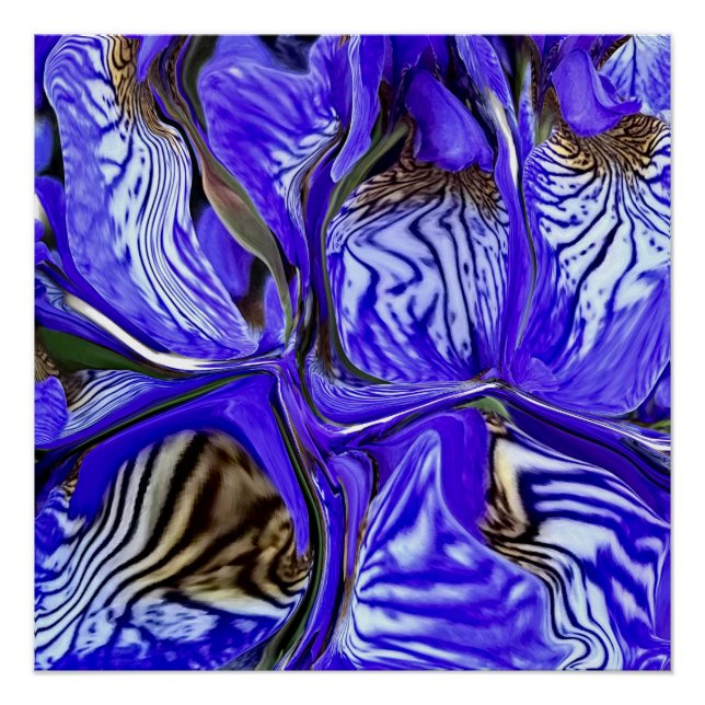 Póster Flor de iris púrpura (Anverso)