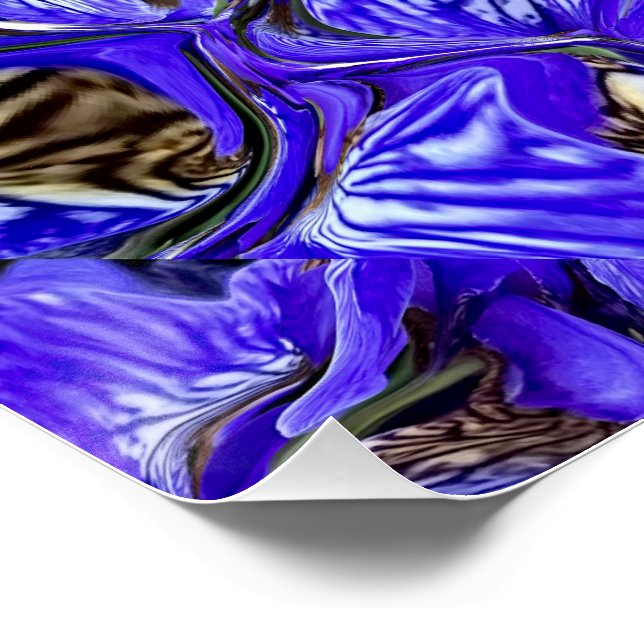 Póster Flor de iris púrpura / inclinada / cubierta / (Esquina)