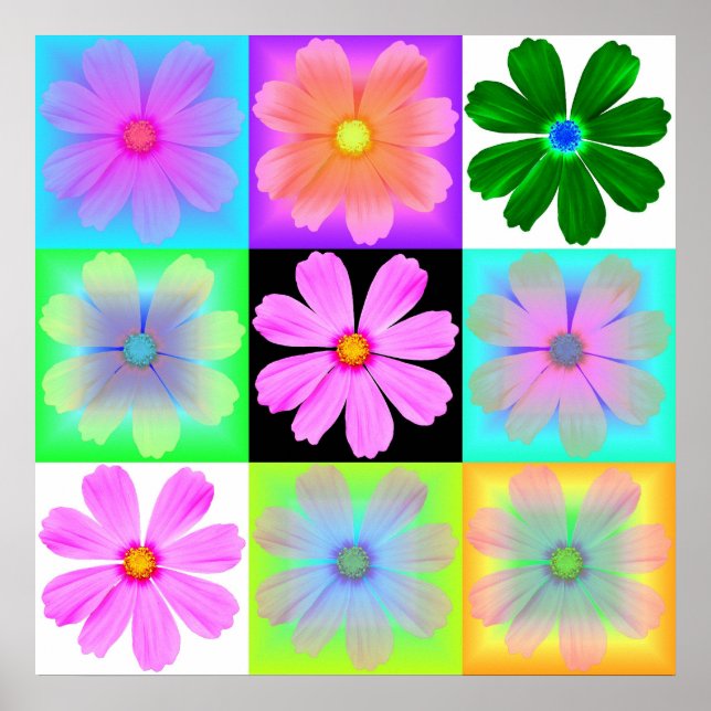 Póster Flor de jardín-9-poster (Frente)