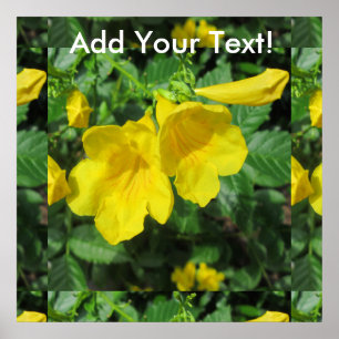 Póster Flor de jardín de trompetas amarillo