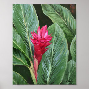 Póster Flor de jengibre tropical