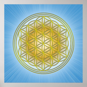 Póster Flor de la vida