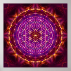 Póster Flor de la vida con Mandala Áureas lila