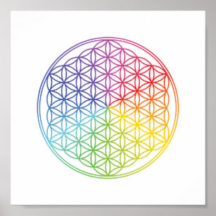 Póster Flor de la Vida - patrón geométrico - color arcoír