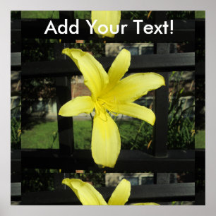 Póster Flor de Lily amarilla bonito
