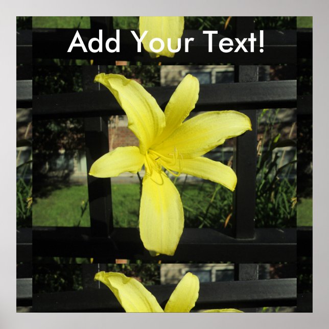 Póster Flor de Lily amarilla bonito (Frente)