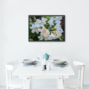 Póster Flor de Lily Oriental Blanca Blooms