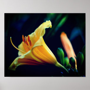 Póster Flor De Lirio Amarillo Intenso
