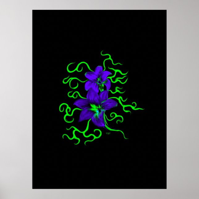 Póster flor de lirio morado sobre negro (Frente)