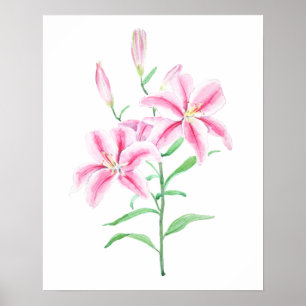 Póster flor de lirio rosa acuarela