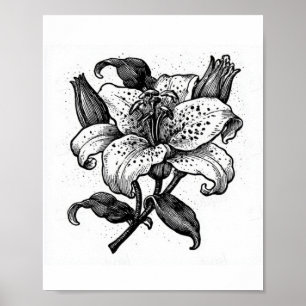 Póster Flor de lirio vintage en blanco y negro