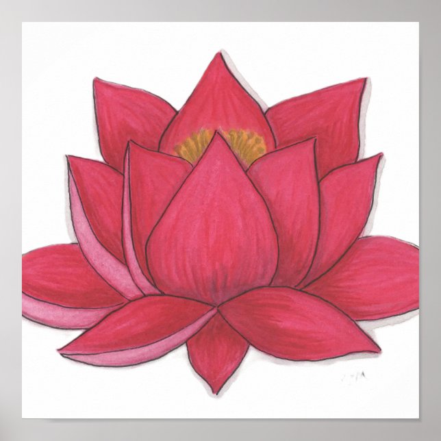Póster Flor de Loto (Frente)