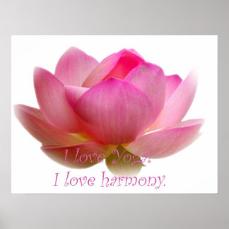 Póster Flor de Lotus