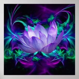 Póster Flor de Lotus púrpura y su significado