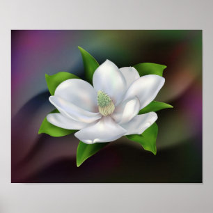Póster Flor de Magnolia