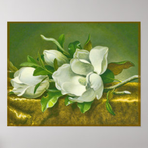 Póster Flor de Magnolia del Sur