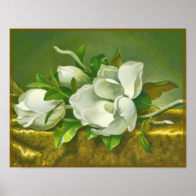 Póster Flor de Magnolia del Sur (Frente)