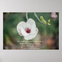 Flor de magnolia japonesa blanca con himno antiguo
