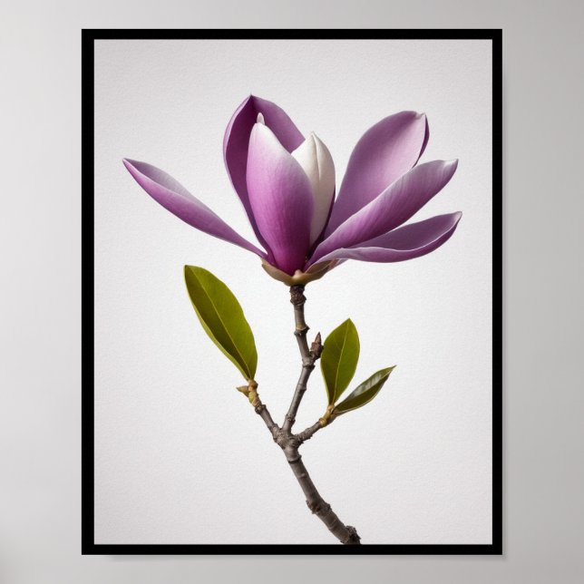 Póster Flor de magnolia púrpura, Poster del Muro de Magno (Frente)