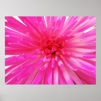 Póster Flor de Mamá de Fútbol rosa brillante neón de cerc