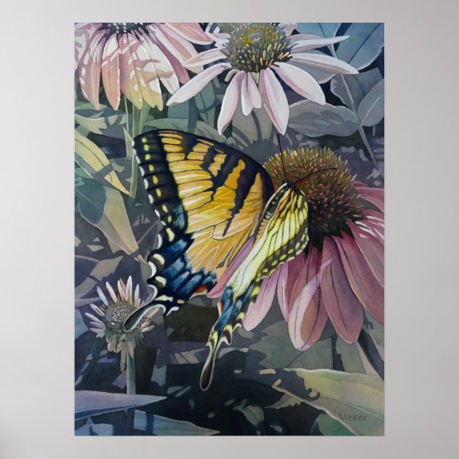 Póster Flor de mariposa de cola cruda amarilla Art 18x24 (Frente)