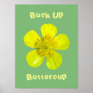Póster Flor de mariposa vibrante - Buck Up Buttercup.