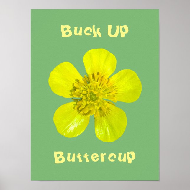 Póster Flor de mariposa vibrante - Buck Up Buttercup. (Frente)