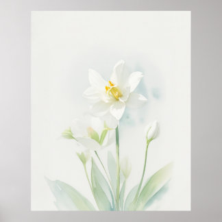Póster Flor de Nacimiento de Narcissus Diciembre