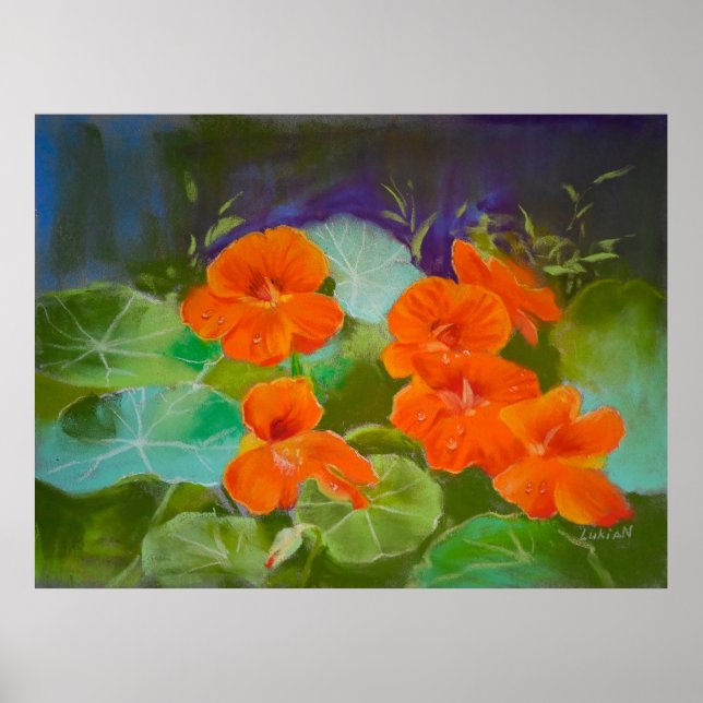 Póster Flor de Nasturtium - Pastel Botánico (Frente)