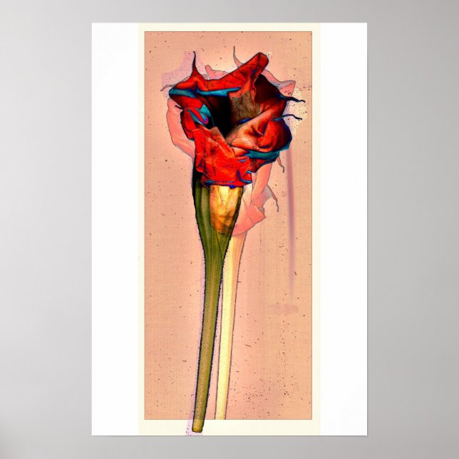 Póster Flor de pasión #1 (Frente)