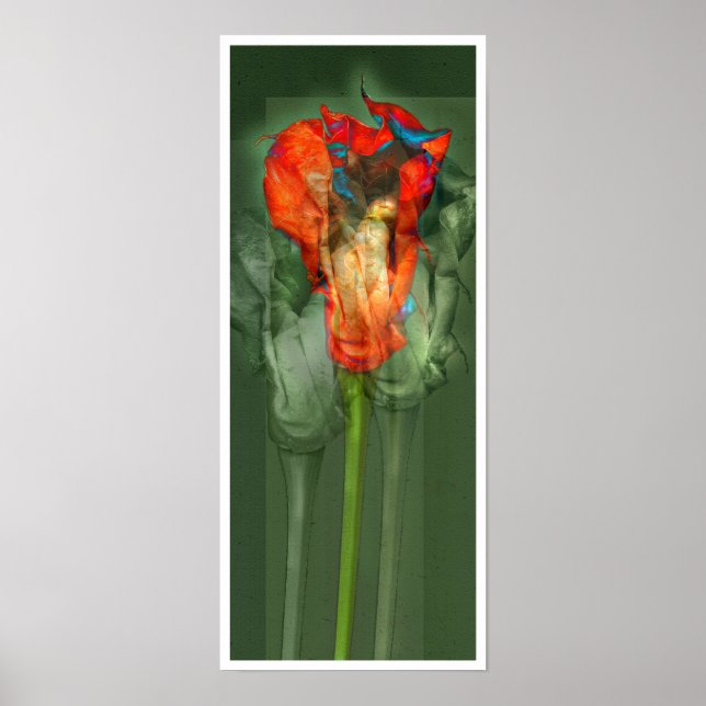 Póster Flor de pasión #6 (Frente)