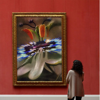 Póster Flor De Pasión Florecen En Estilo Resumen Art Déco