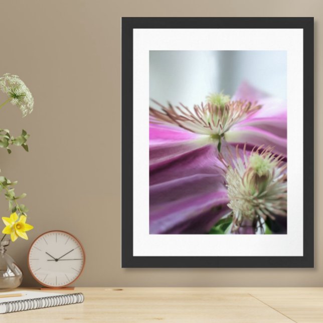 Póster Flor de pasión violeta de la luz de la mañana (Subido por el creador)