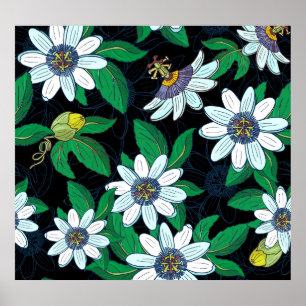 Póster Flor de pasionero negro fondo floral sin soldadura