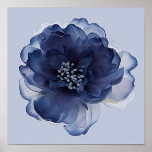 PÓSTER FLOR DE PEONÍA AZUL